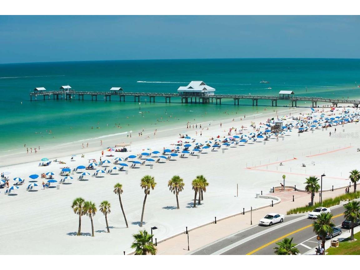 501 East Bay Drive #104 Largo FL 33770 TB8382504 image21