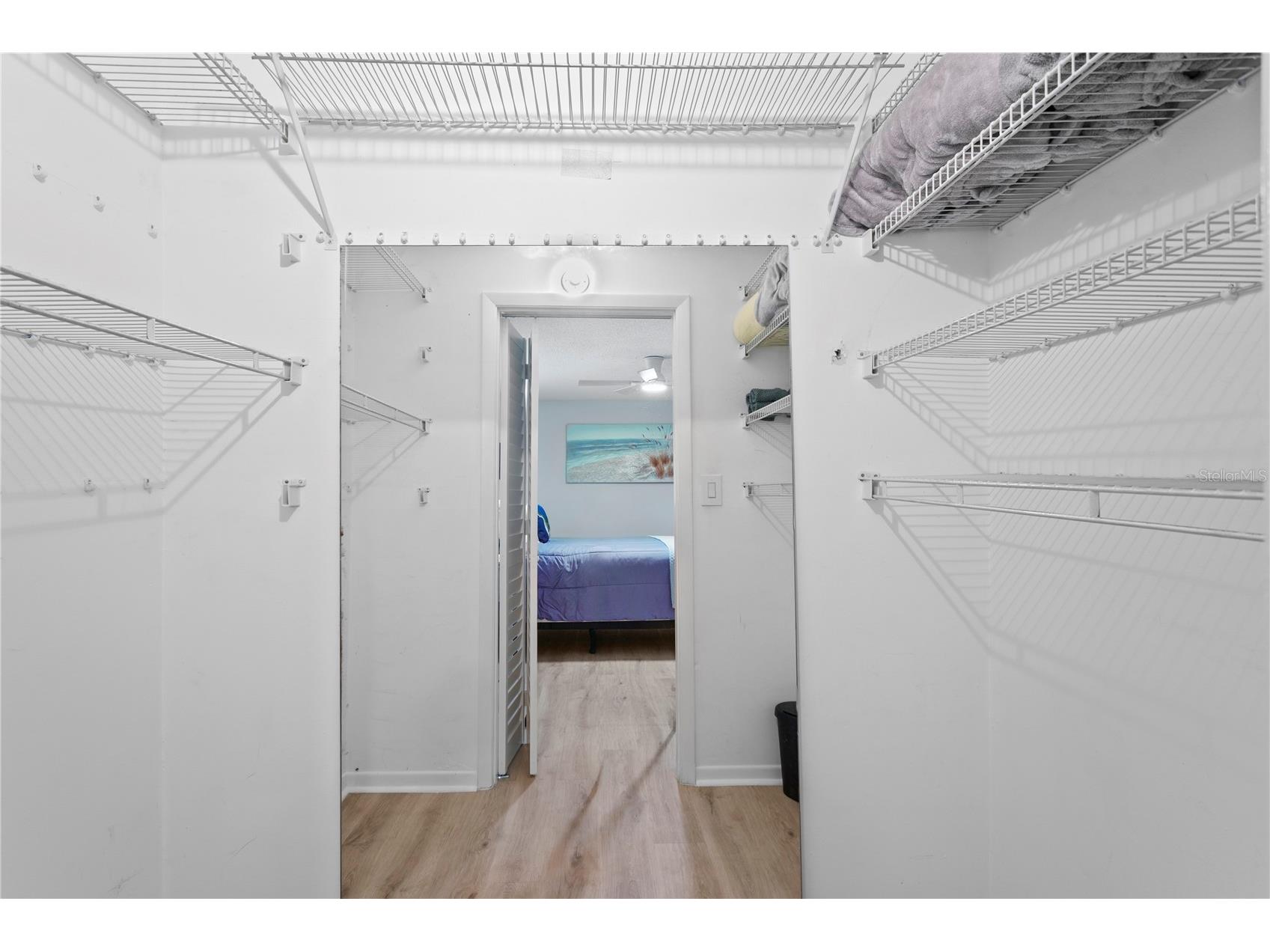 501 East Bay Drive #104 Largo FL 33770 TB8517497 image23
