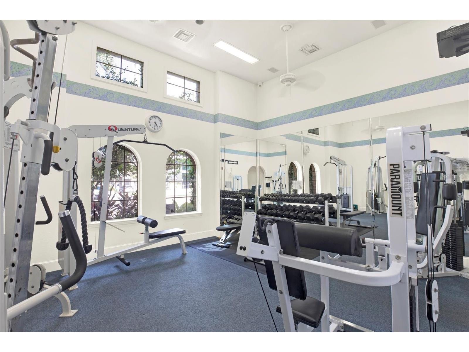 501 Knights Run Ave #1234 Tampa FL 33602 TB8489312 image20