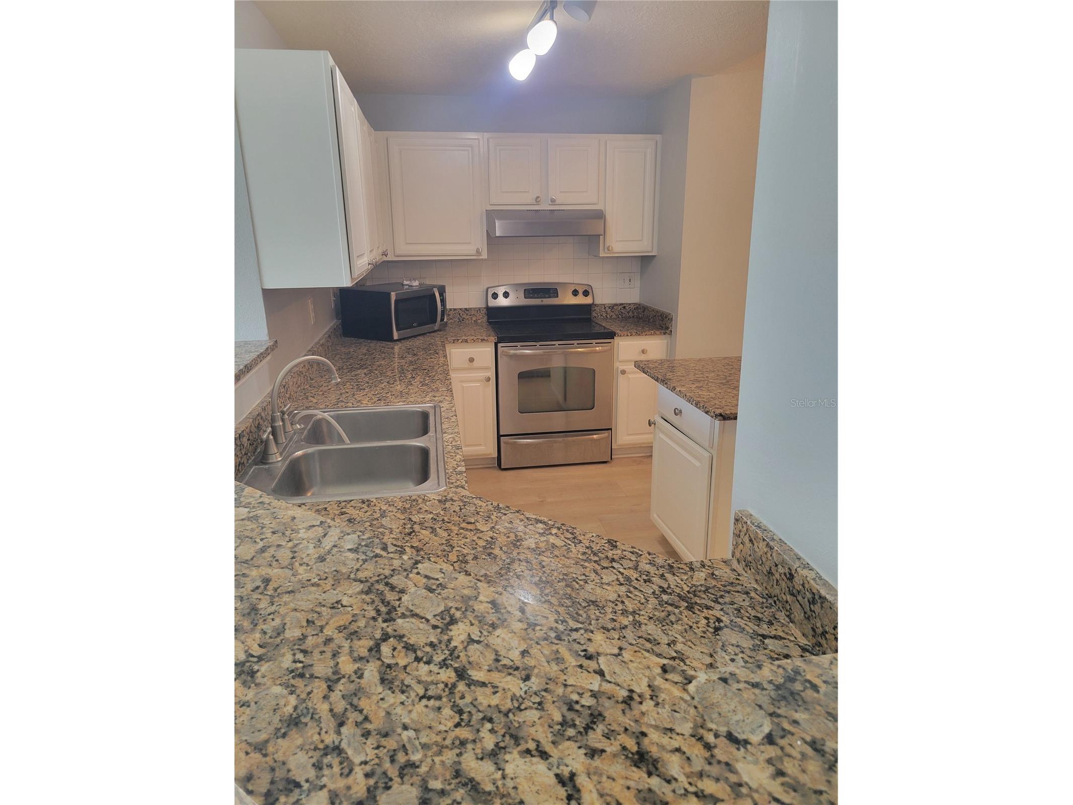 501 Knights Run Avenue #1113 Tampa FL 33602 TB8519417 image11