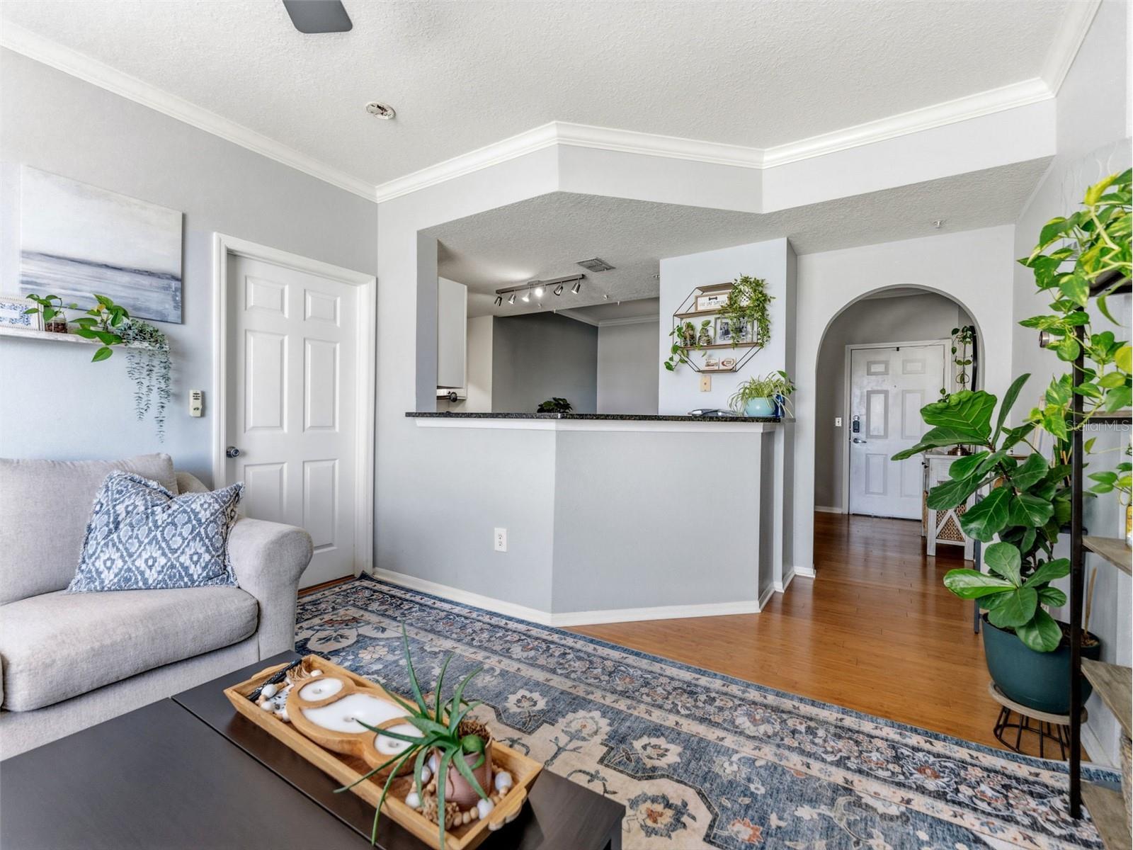 501 Knights Run Avenue #1325 Tampa FL 33602 TB8517113 image11