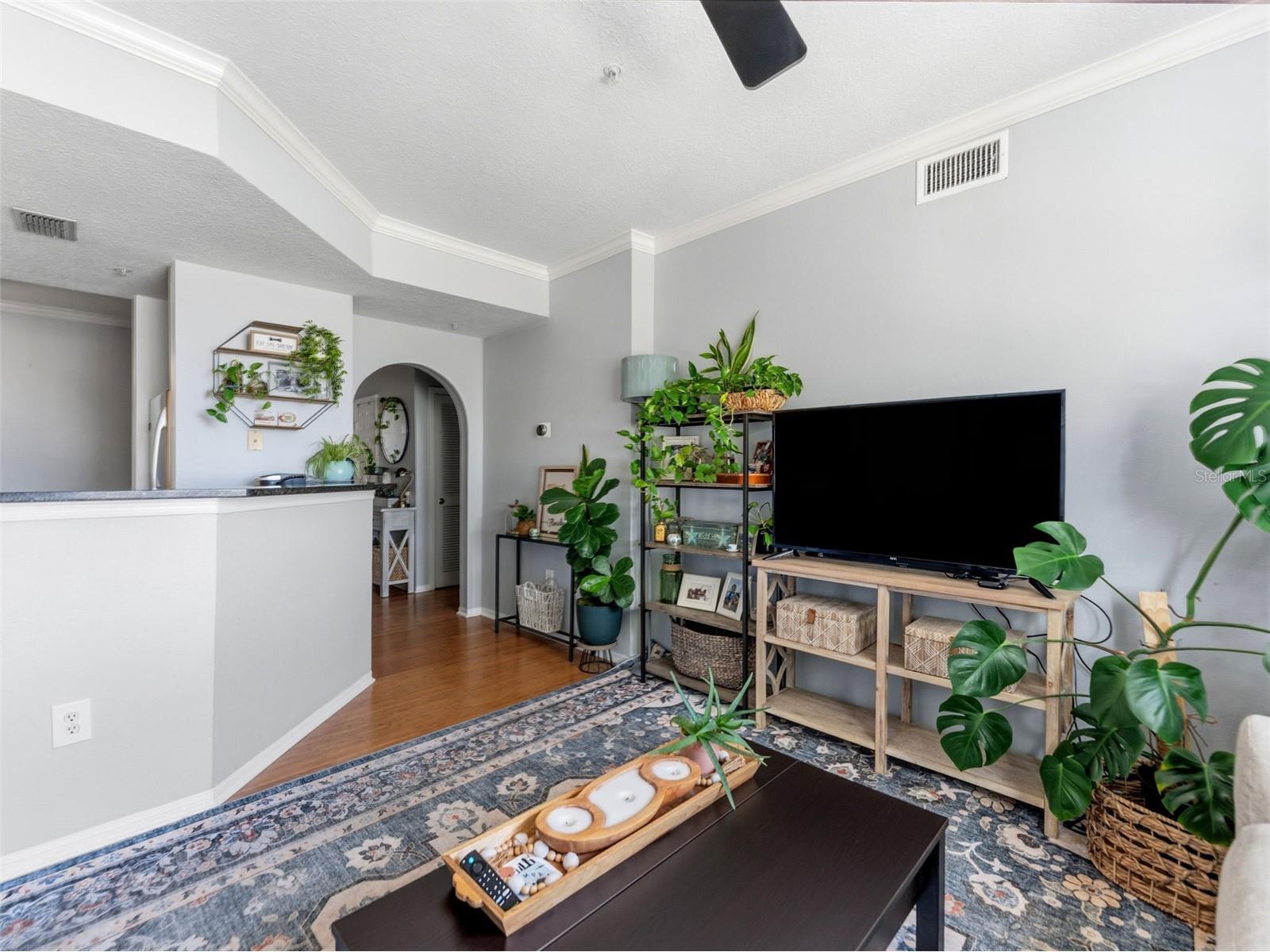 501 Knights Run Avenue #1325 Tampa FL 33602 TB8517113 image12
