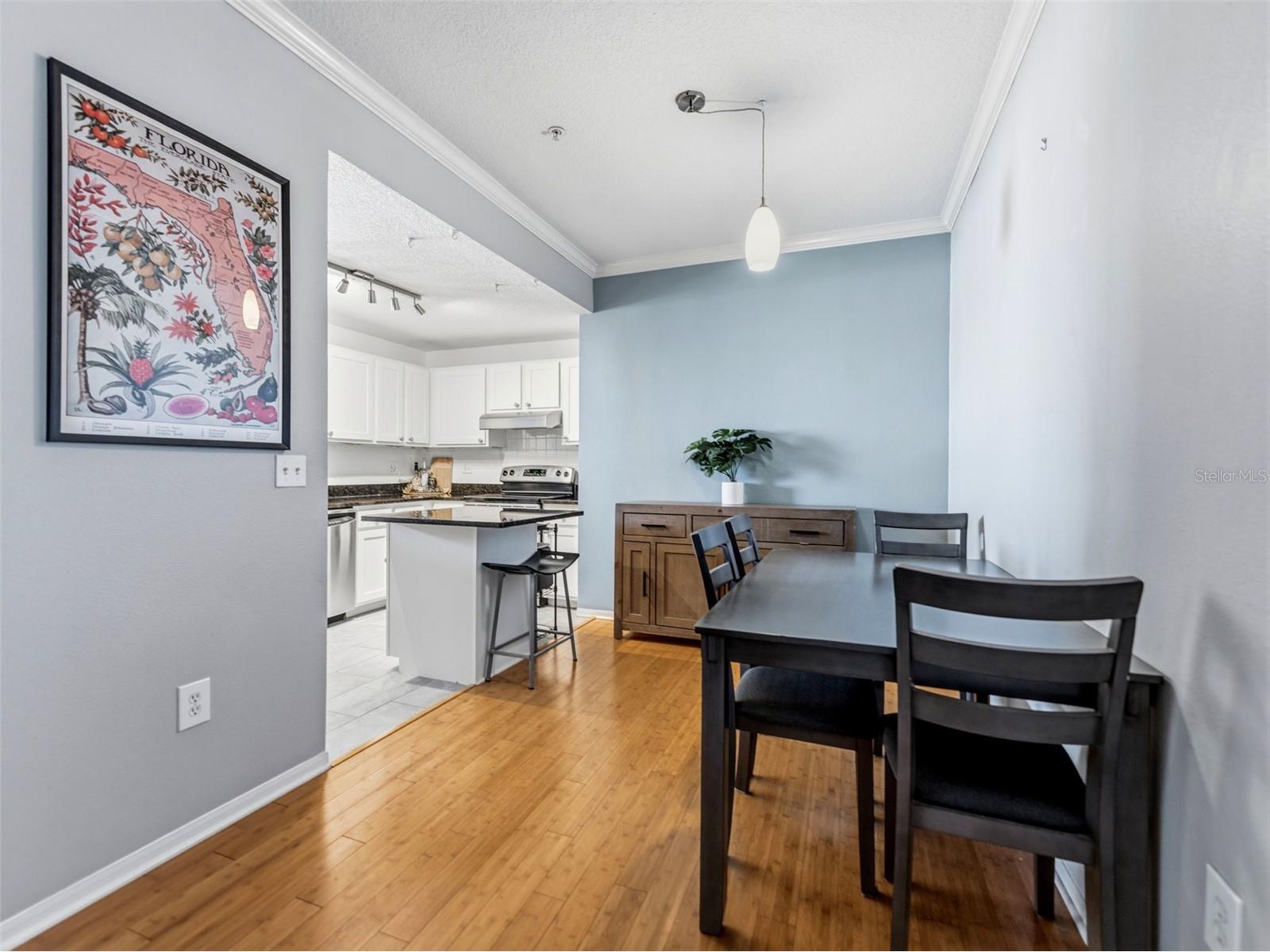 501 Knights Run Avenue #1325 Tampa FL 33602 TB8517113 image3
