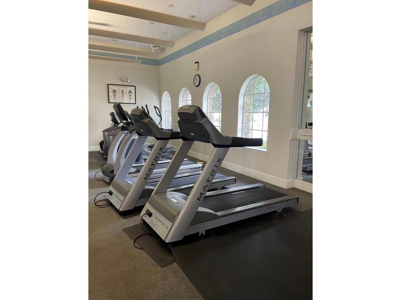 501 Knights Run Avenue #2215 Tampa FL 33602 TB8497930 image8