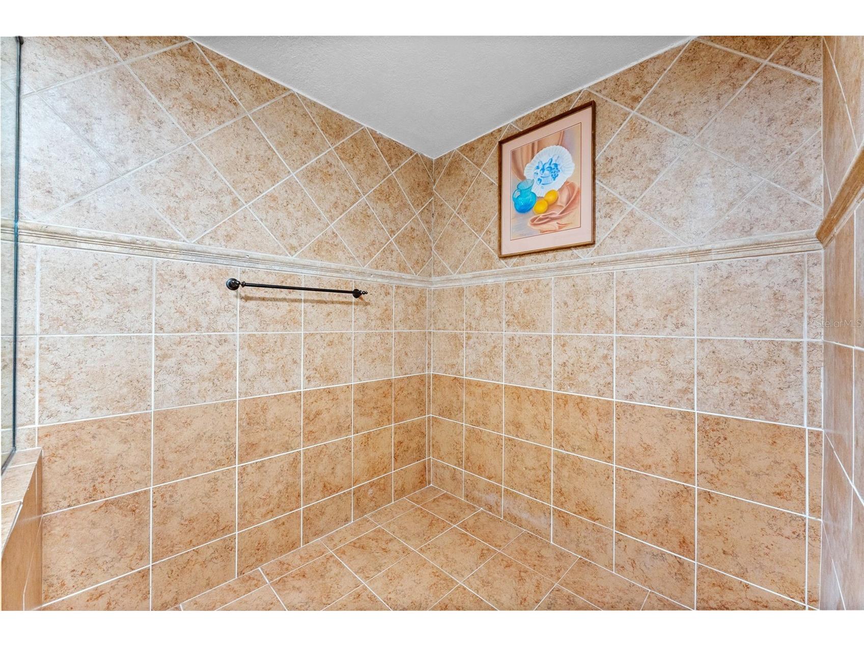 501 Knights Run Avenue #2307 Tampa FL 33602 TB8506961 image21