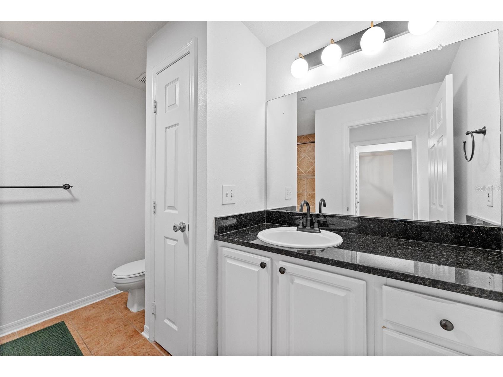 501 Knights Run Avenue #2307 Tampa FL 33602 TB8506961 image27