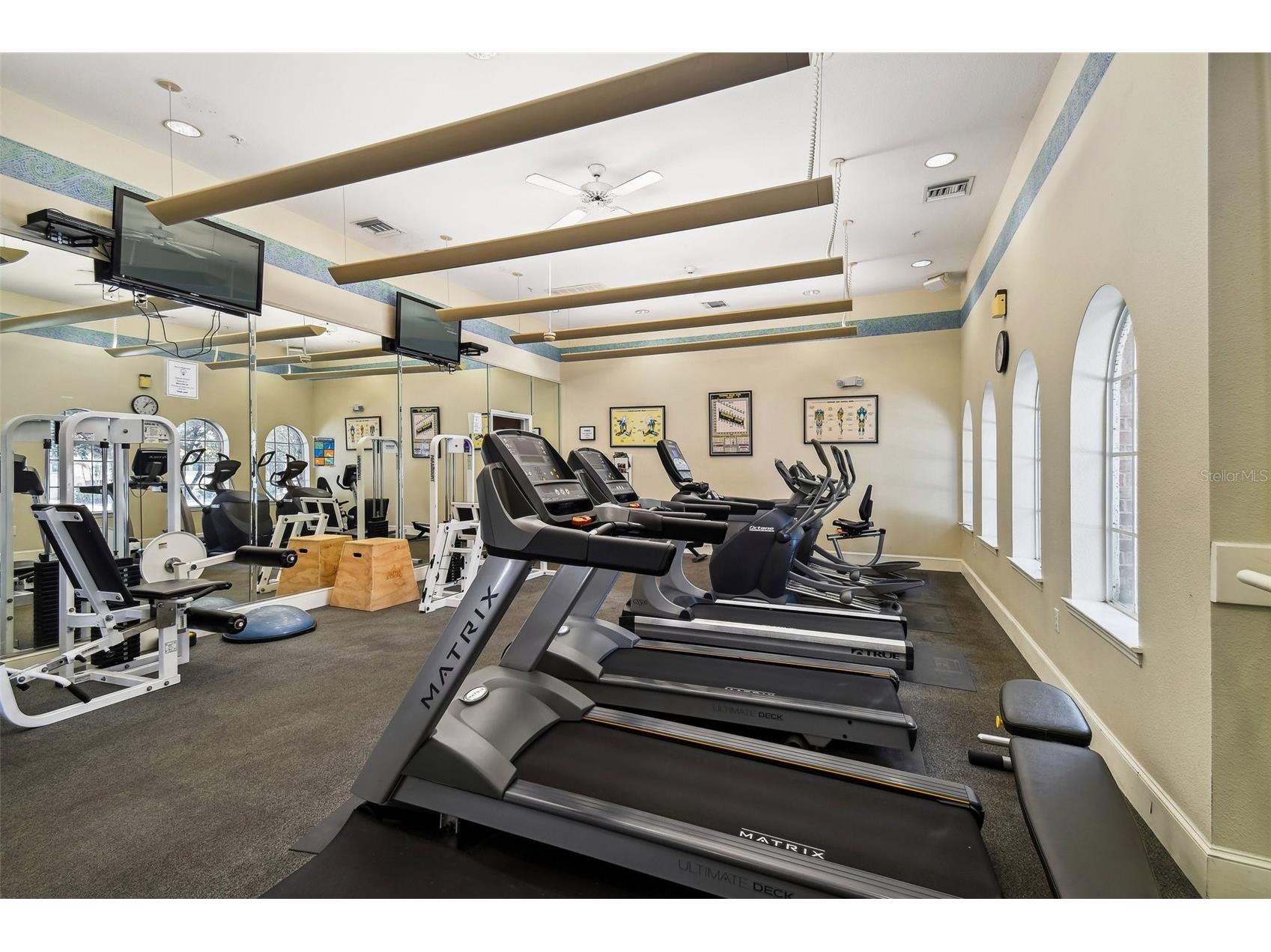 501 Knights Run Avenue #2309 Tampa FL 33602 TB8502048 image15