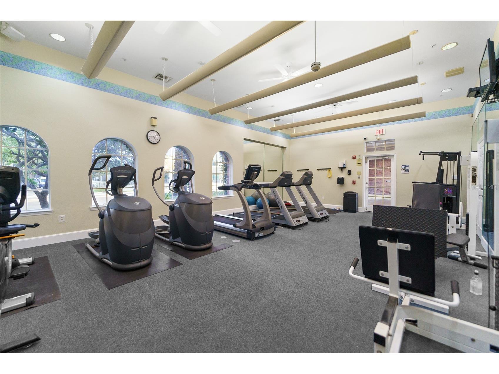 501 Knights Run Avenue #5102 Tampa FL 33602 TB8519373 image25
