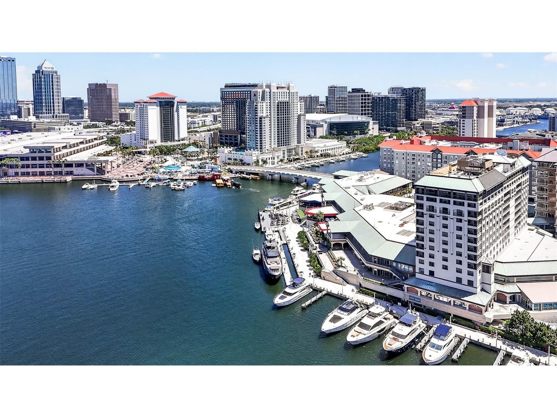 501 Knights Run Avenue #6103 Tampa FL 33602 TB8509931 image63
