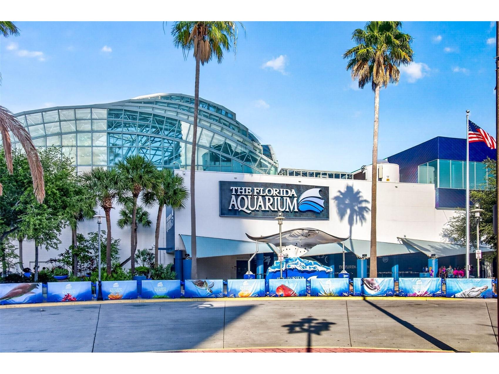 501 Knights Run Avenue #6103 Tampa FL 33602 TB8509931 image68