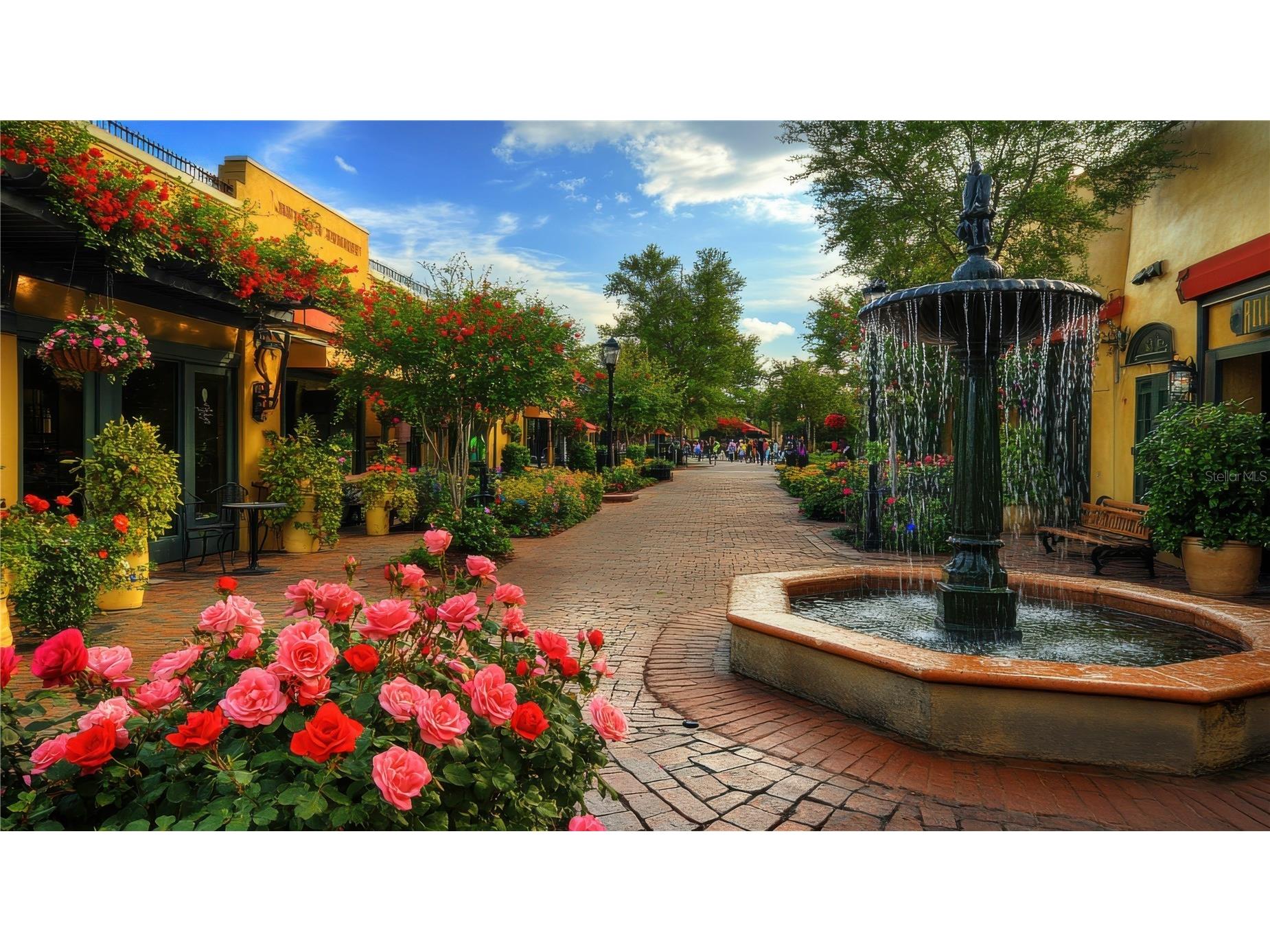 501 Lakeview Avenue Winter Park FL 32789 O6325192 image57