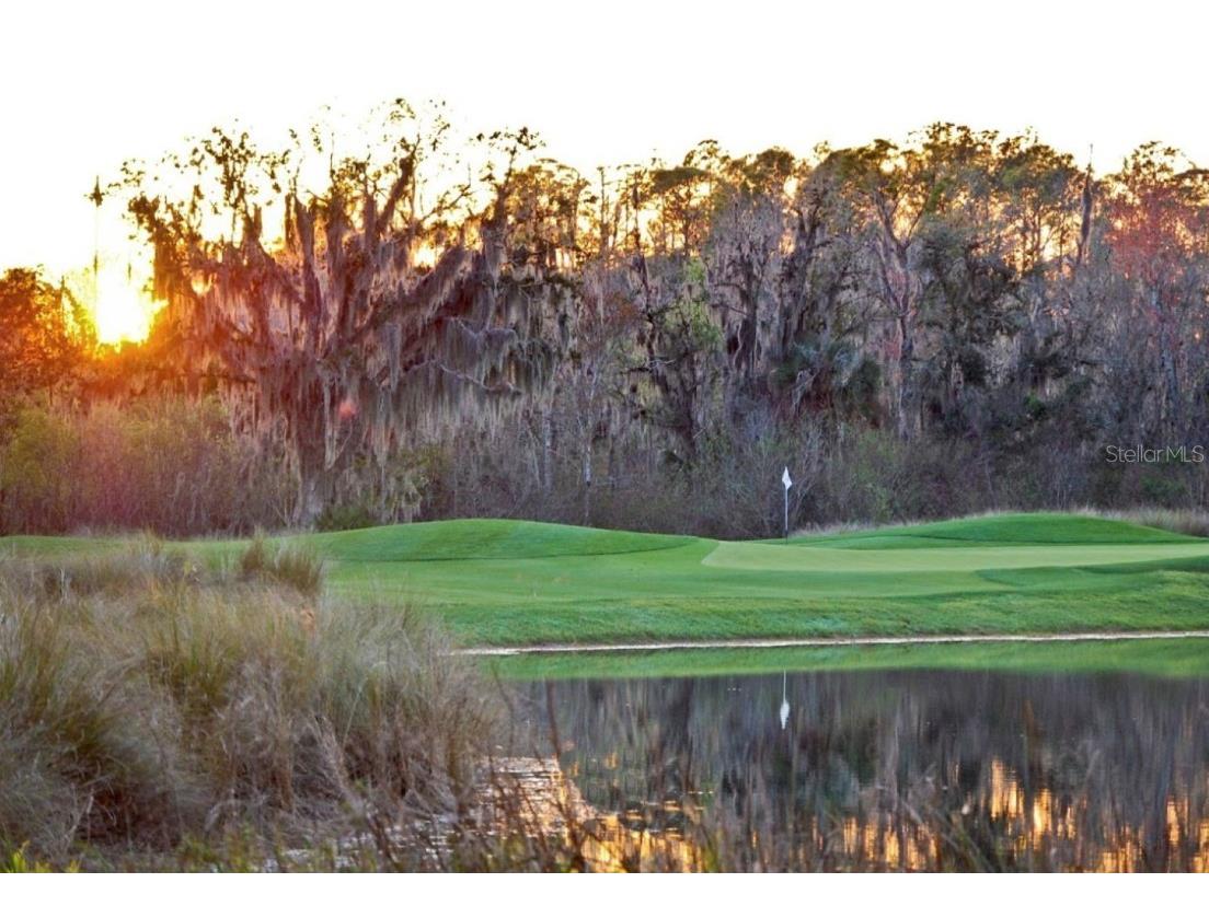 501 Mirasol Circle #102 Celebration FL 34747 O6366493 image67