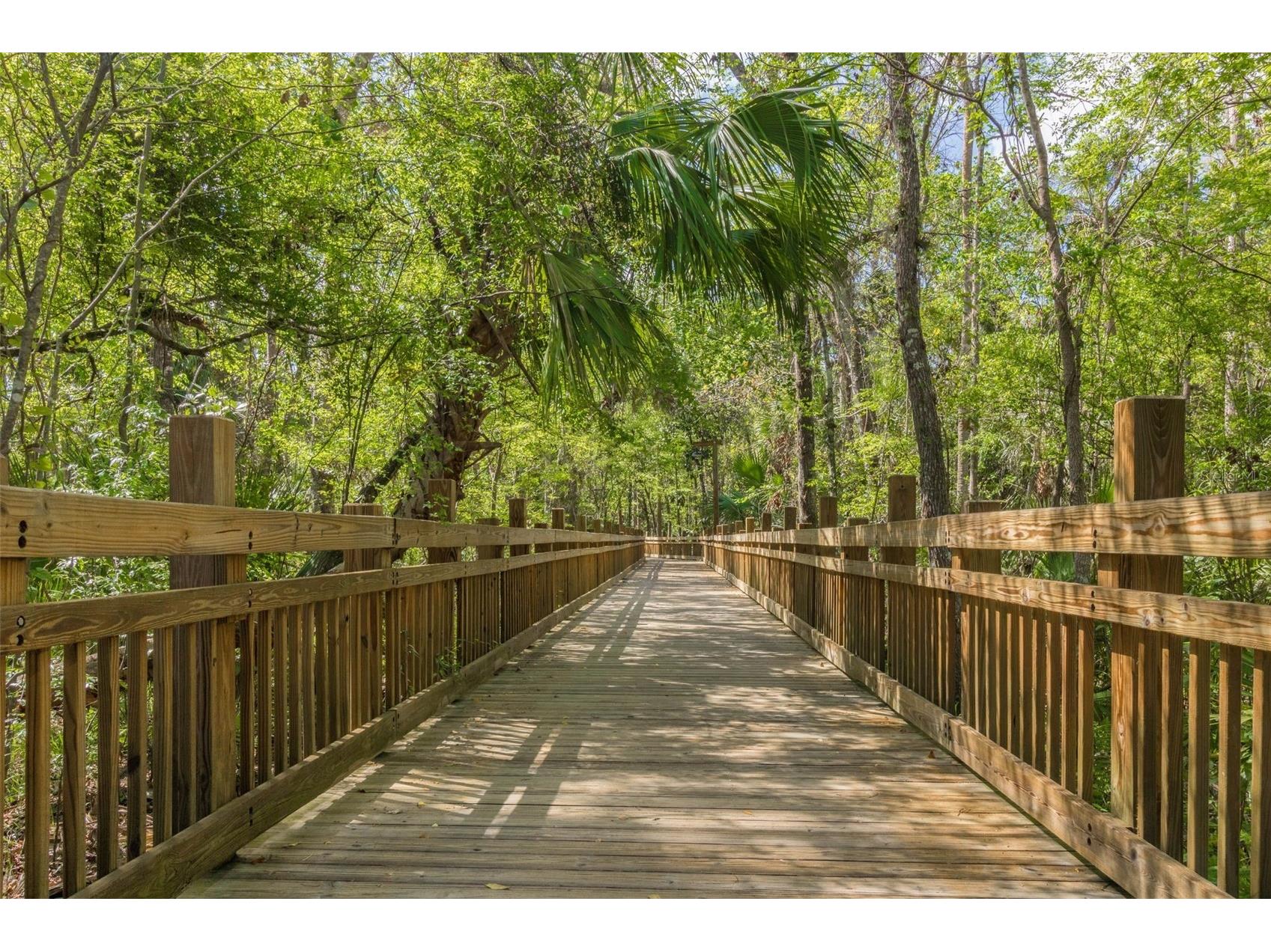 501 Mirasol Circle #215 Kissimmee FL 34747 S5150006 image41