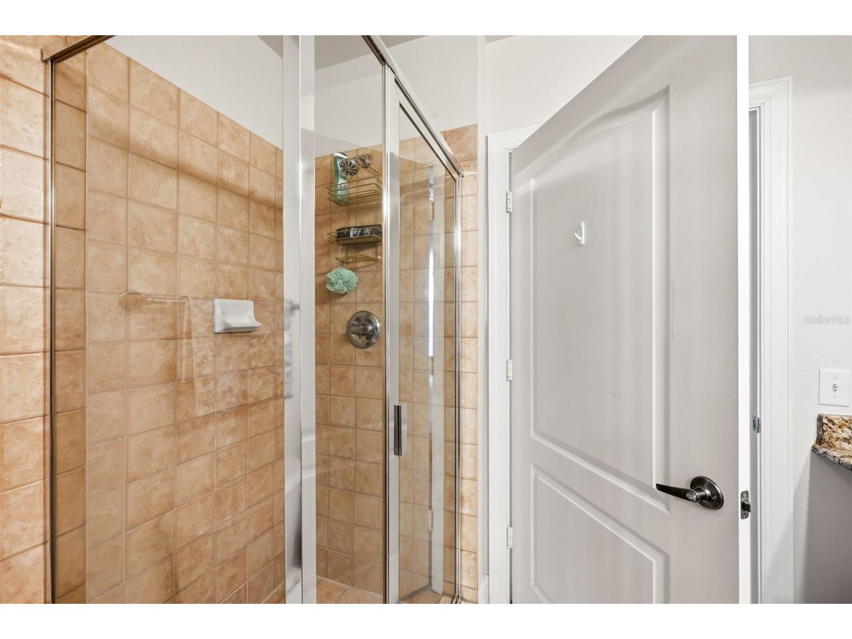 501 Mirasol Circle #402 Celebration FL 34747 S5146808 image13