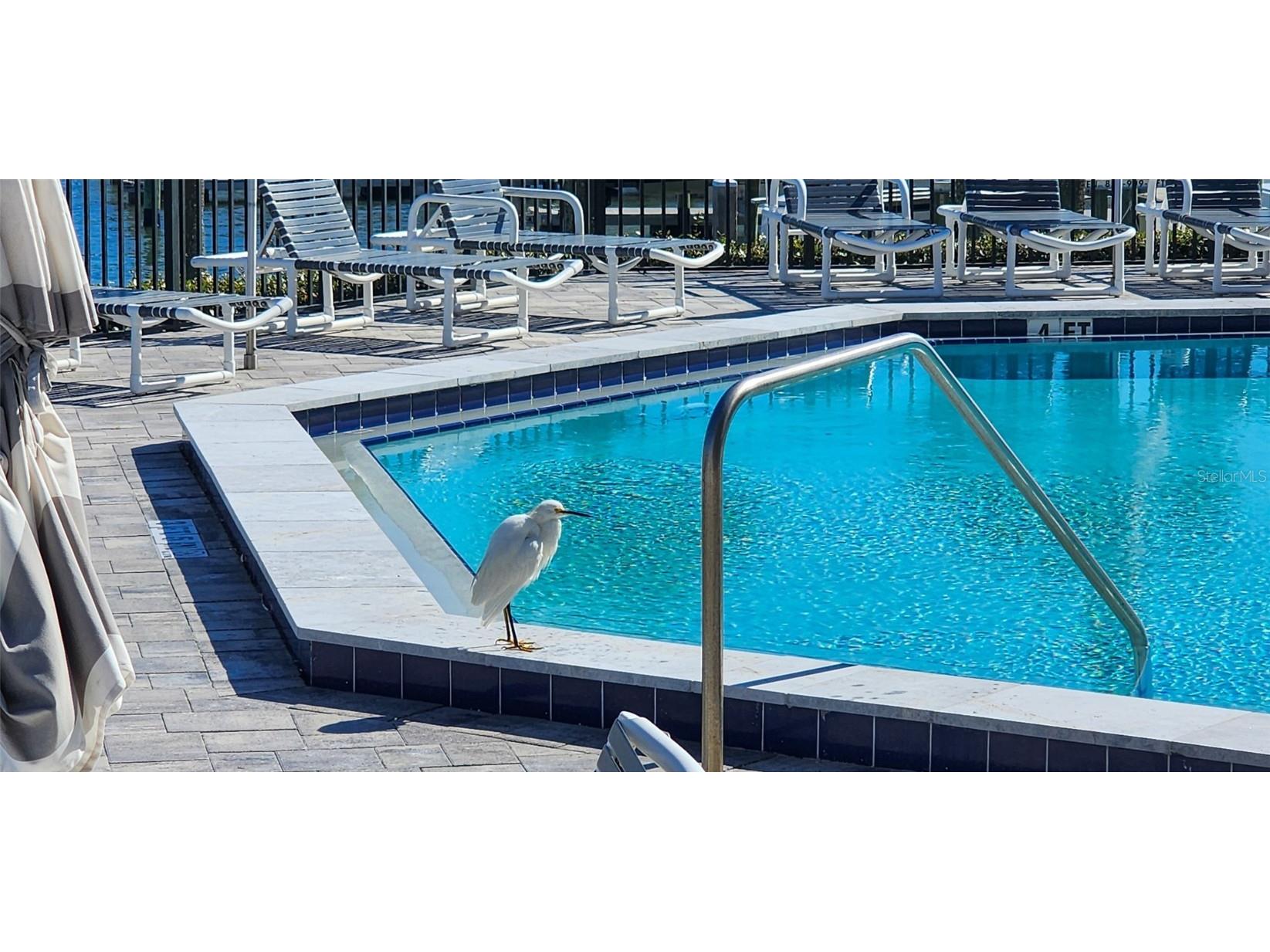 501 N Causeway #3070 New Smyrna Beach FL 32169 O6359469 image65