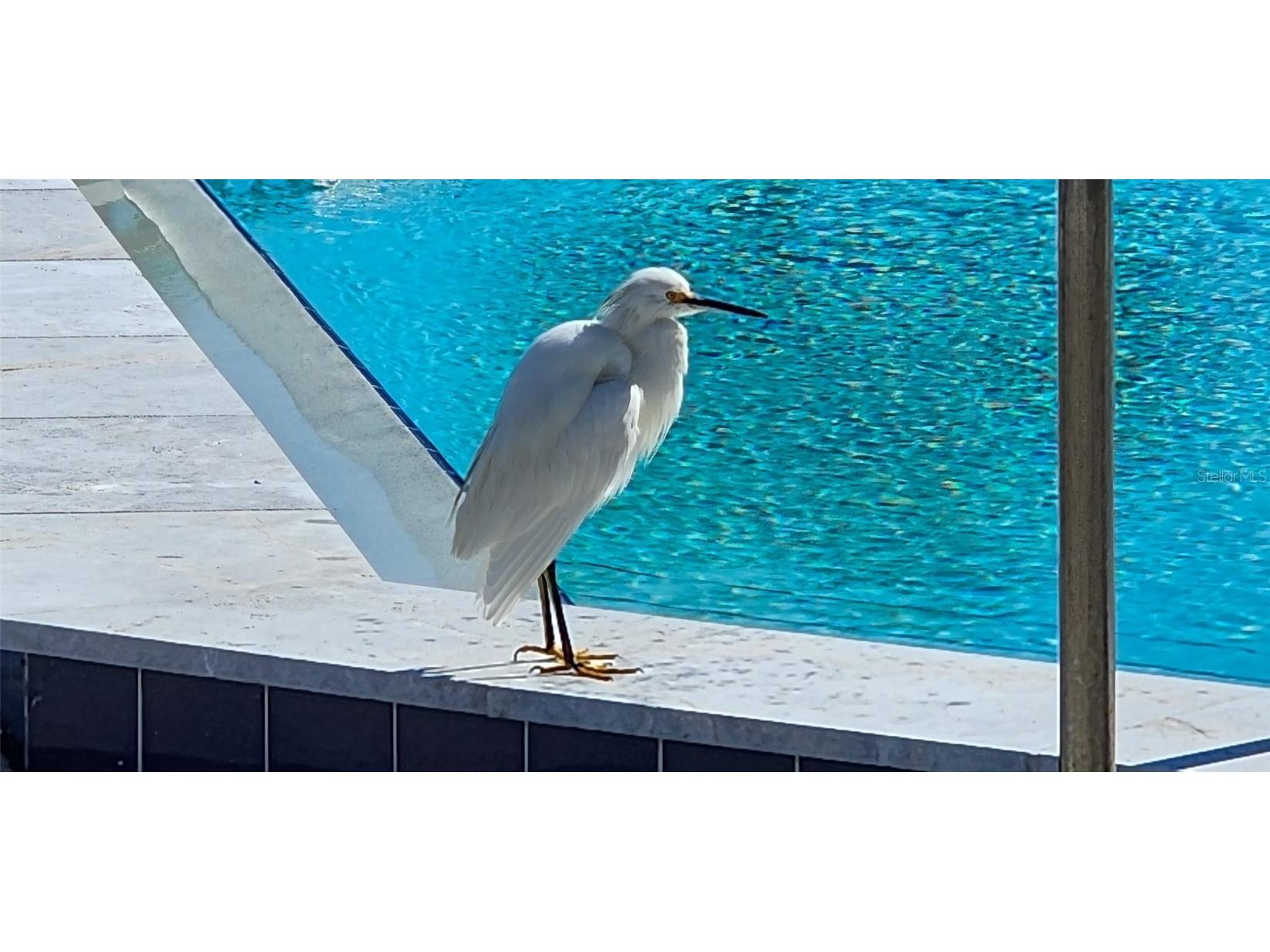 501 N Causeway #3070 New Smyrna Beach FL 32169 O6359469 image66