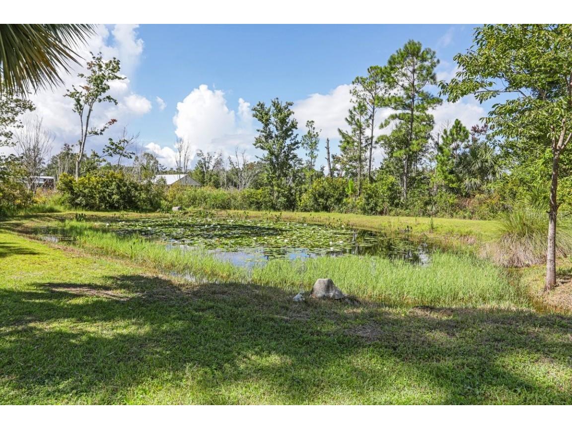 501 NE Duncan Lane NE Steinhatchee FL 32359 GC533391 image29