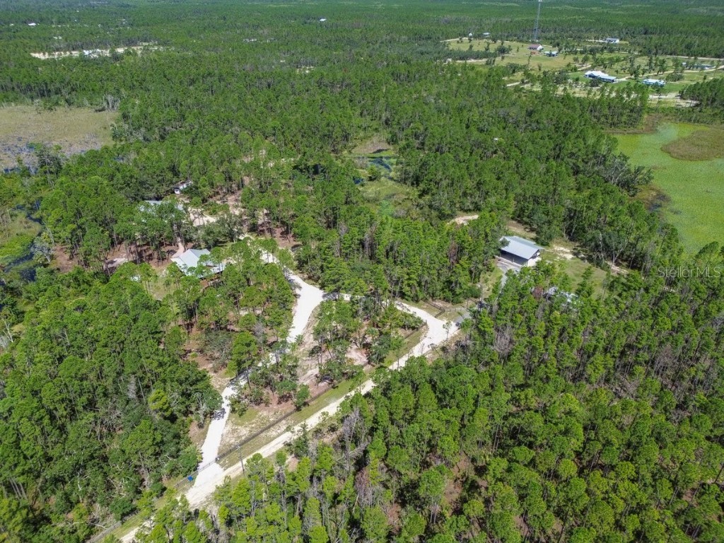 501 NE Duncan Lane NE Steinhatchee FL 32359 GC533391 image43