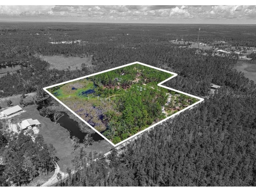 501 NE Duncan Lane NE Steinhatchee FL 32359 GC533391 image46