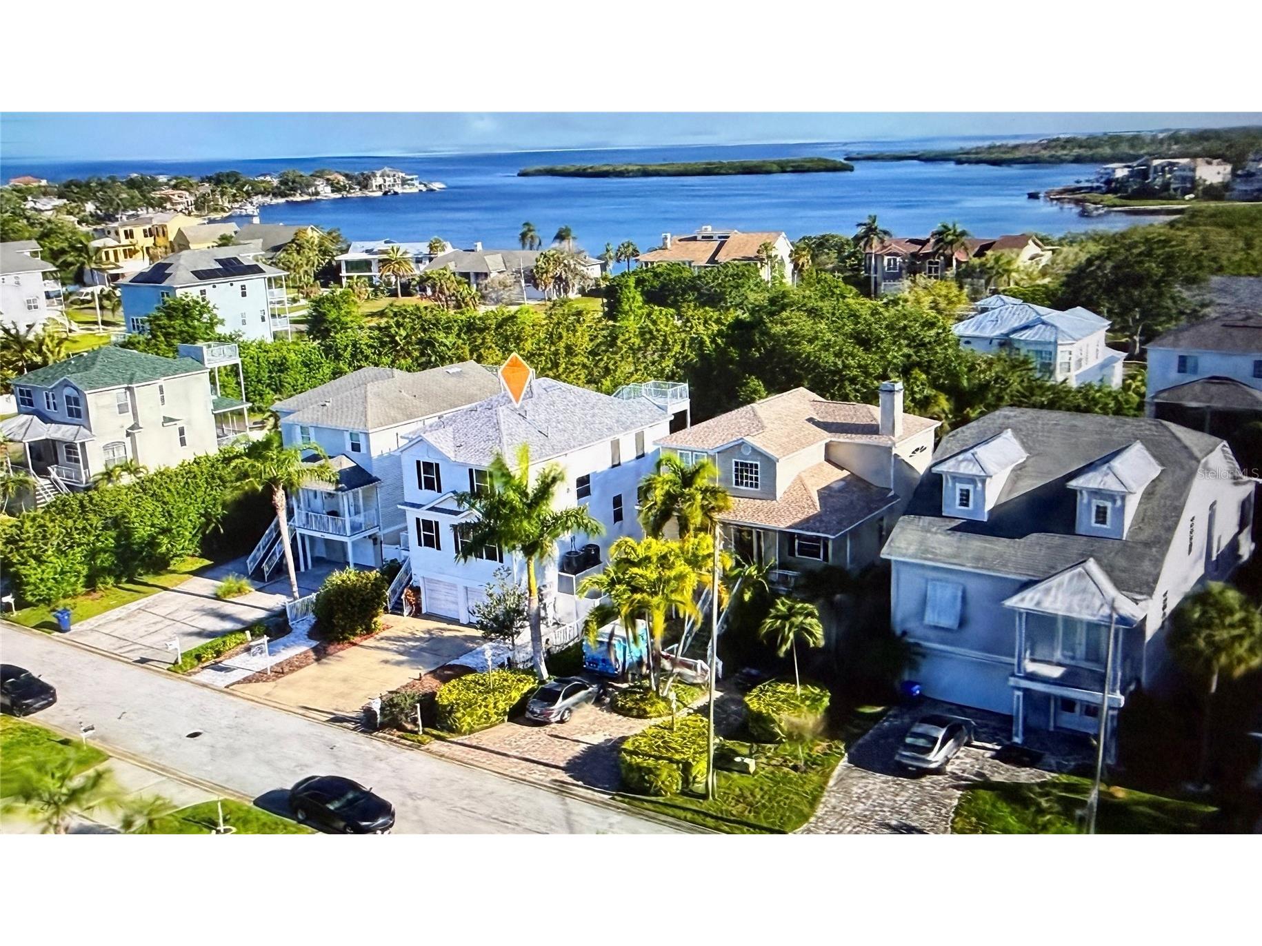 501 Palm Avenue Palm Harbor FL 34683 TB8504396 image1