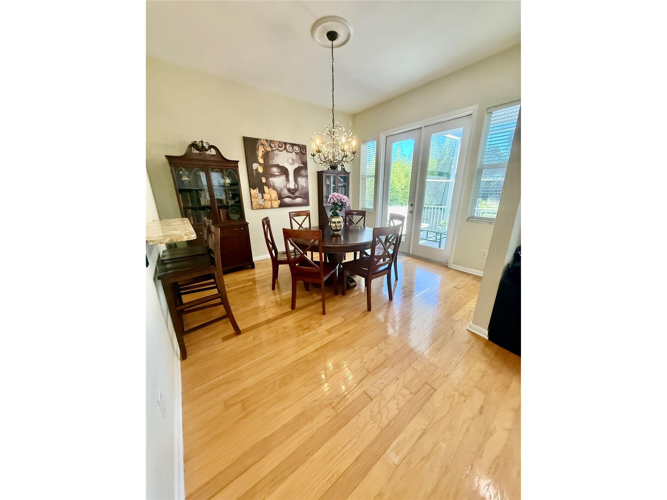 501 Palm Avenue Palm Harbor FL 34683 TB8504396 image12