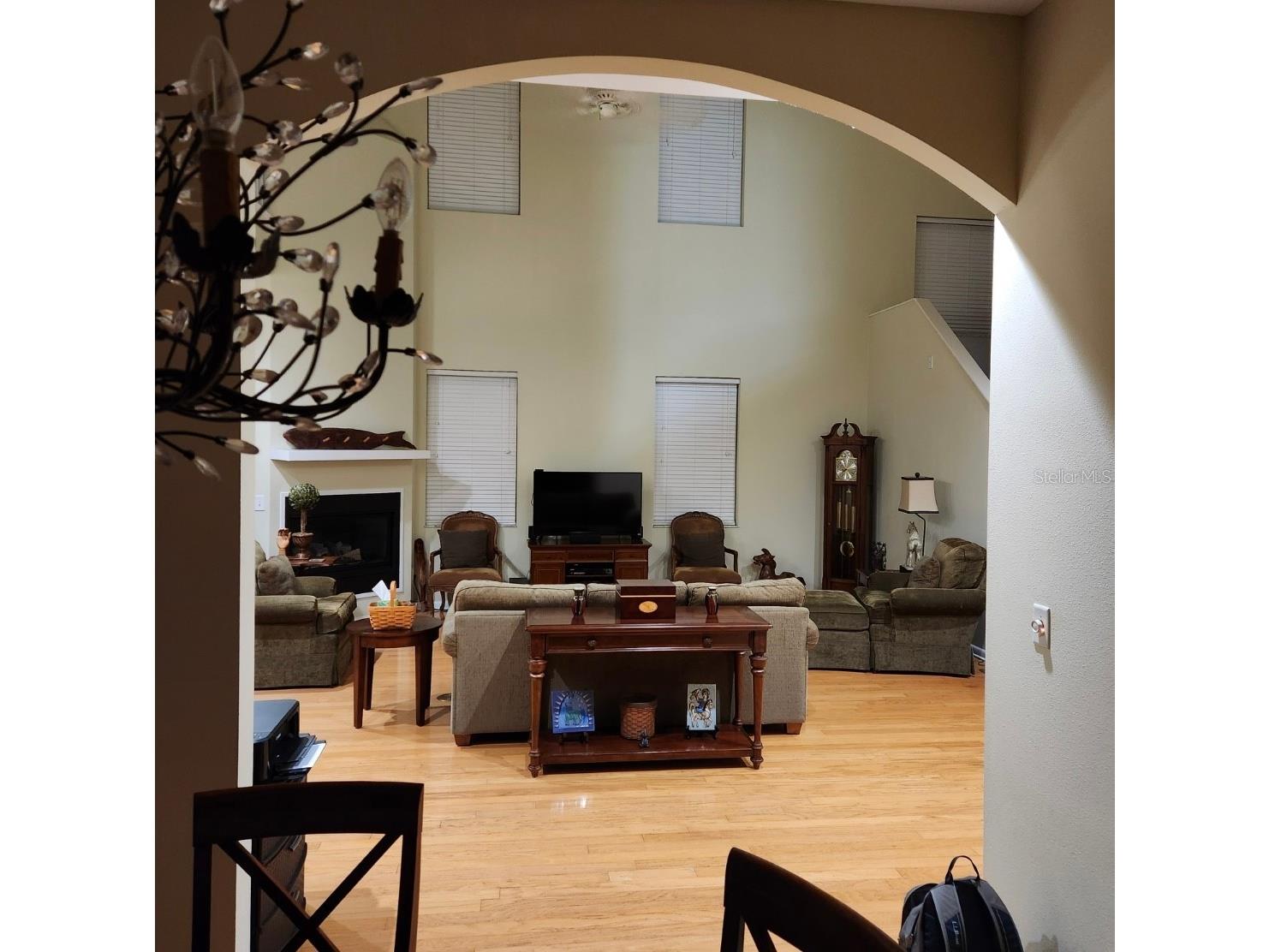 501 Palm Avenue Palm Harbor FL 34683 TB8504396 image14
