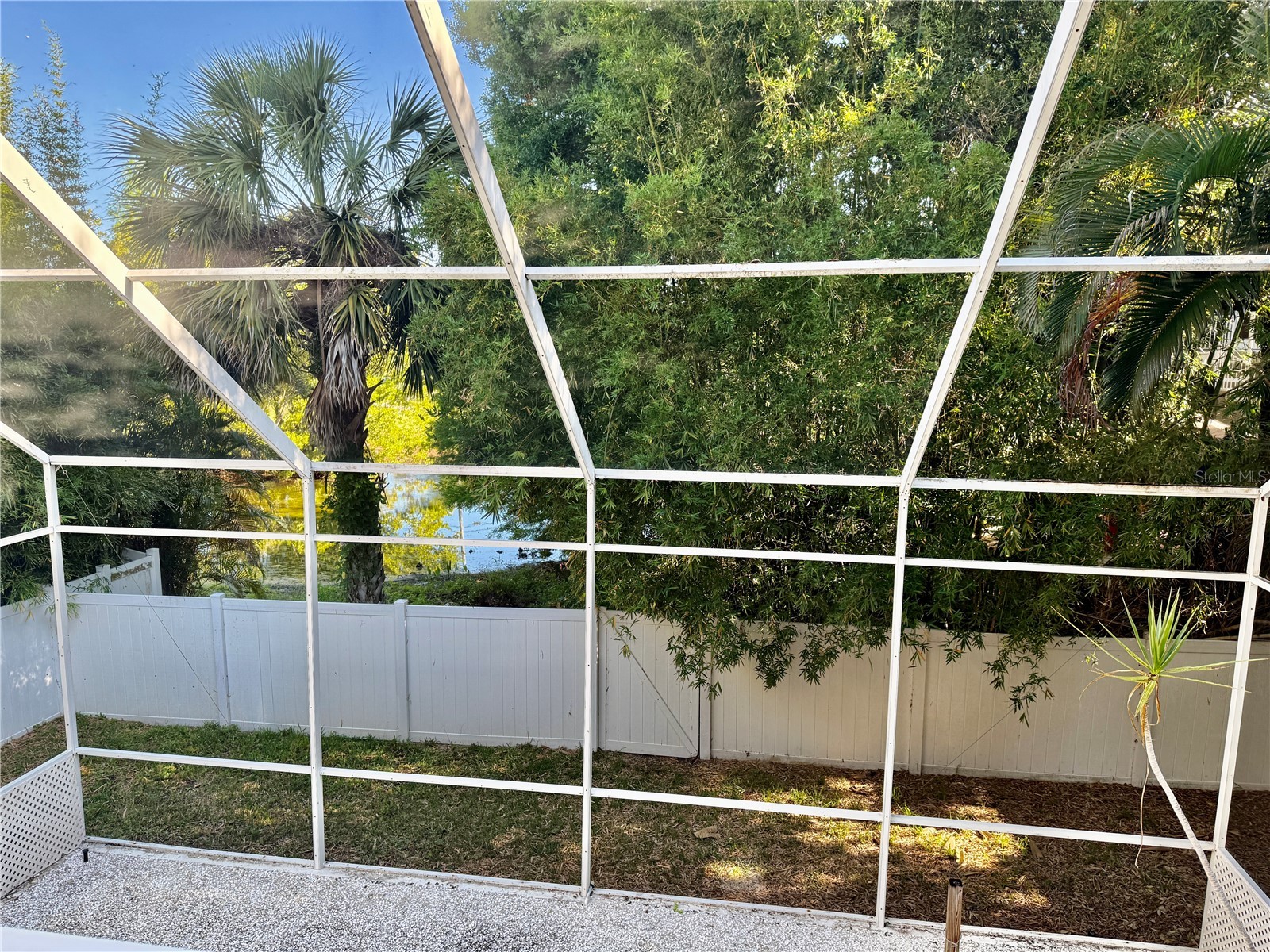 501 Palm Avenue Palm Harbor FL 34683 TB8504396 image20