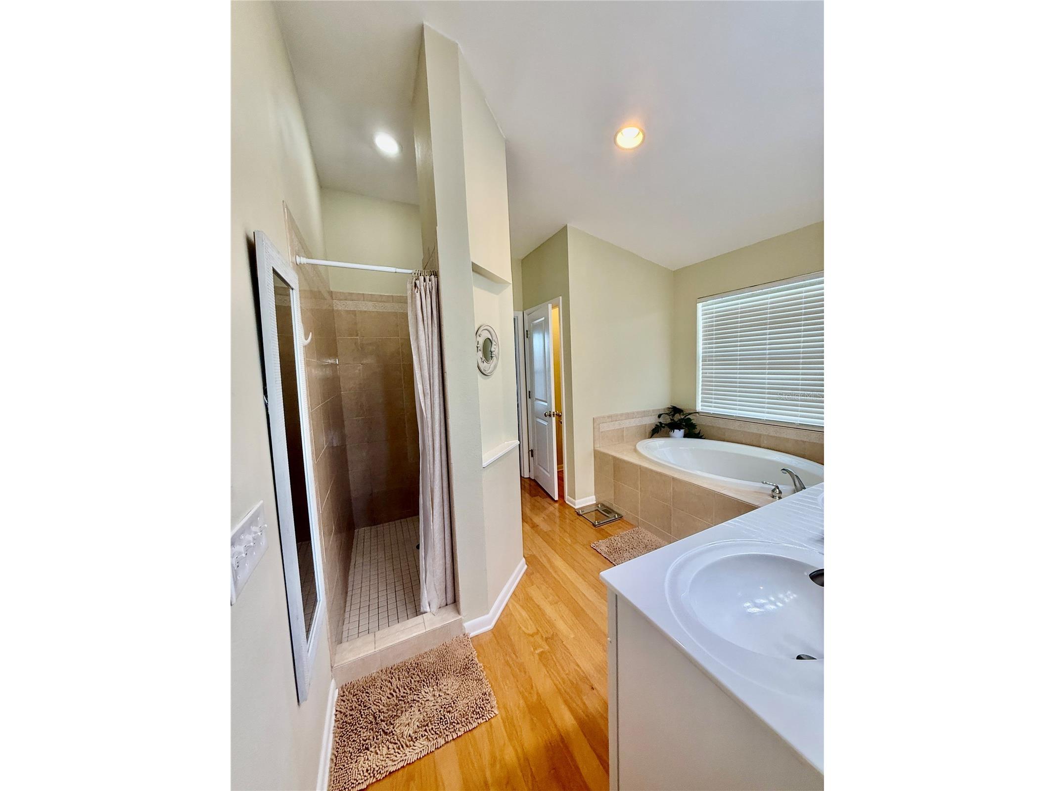 501 Palm Avenue Palm Harbor FL 34683 TB8504396 image33