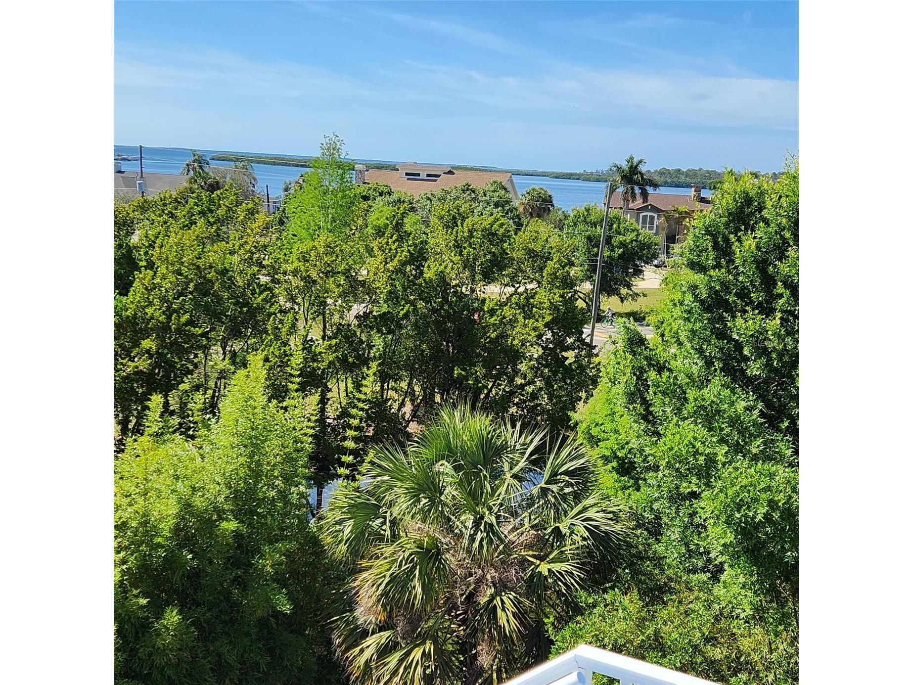 501 Palm Avenue Palm Harbor FL 34683 TB8504396 image45
