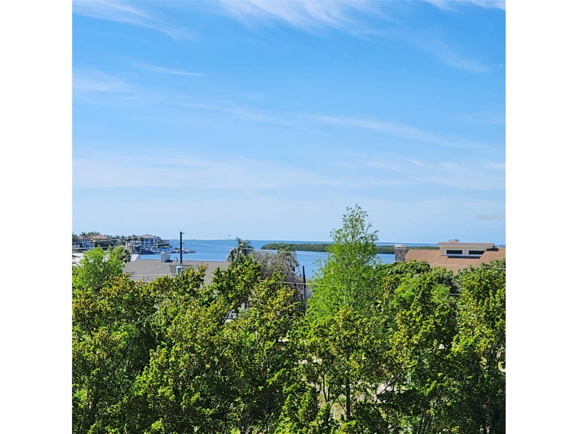501 Palm Avenue Palm Harbor FL 34683 TB8504396 image46
