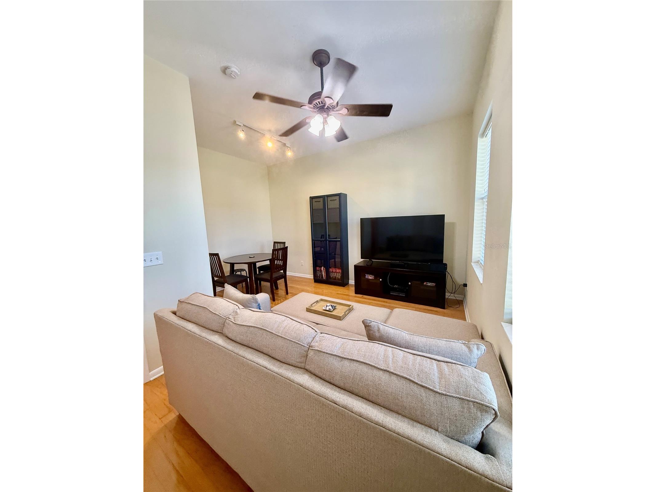 501 Palm Avenue Palm Harbor FL 34683 TB8504396 image8