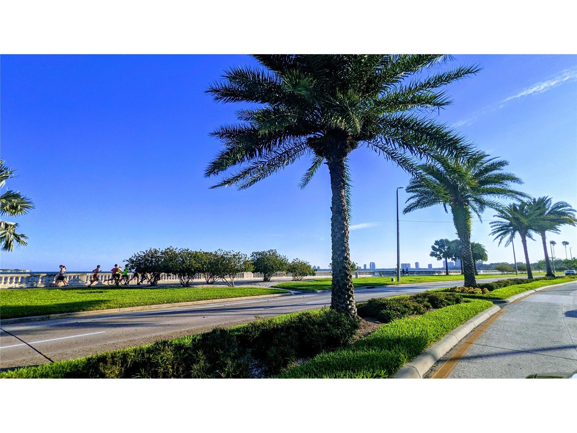 501 S Magnolia Avenue #1 Tampa FL 33606 TB8480779 image22