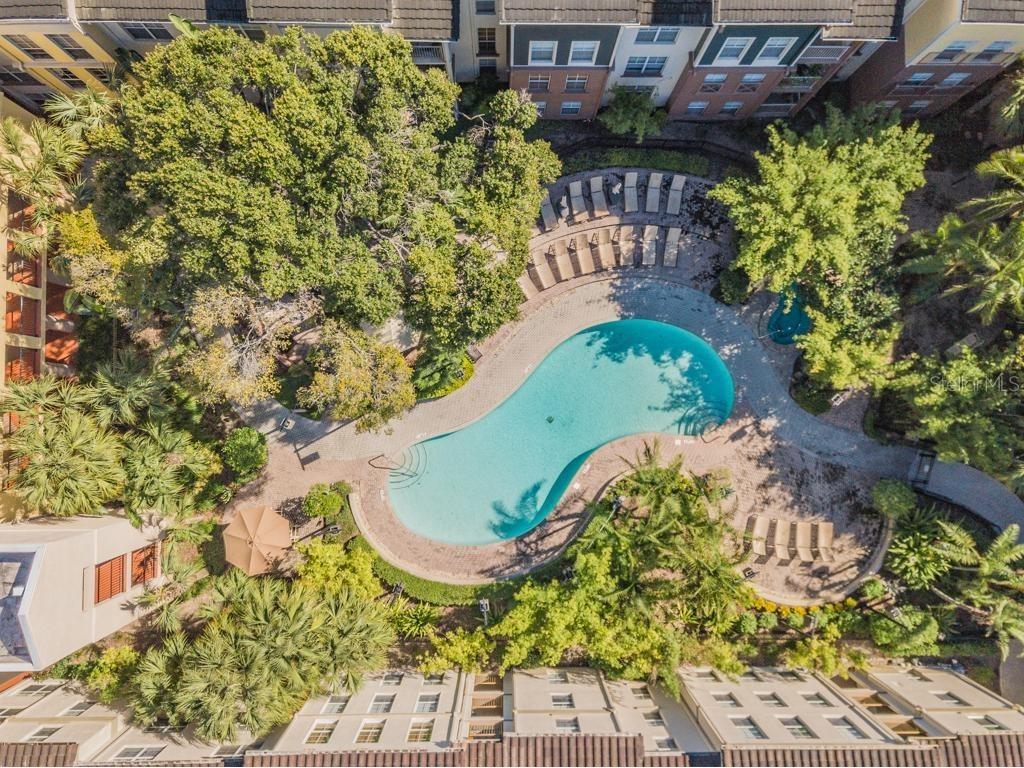 501 S Moody Avenue #1134 Tampa FL 33609 TB8402725 image28