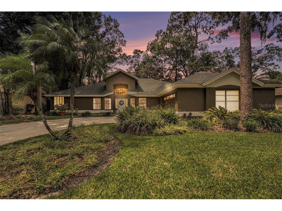 501 Stratfield Drive Lutz FL 33549 T3453180 image1