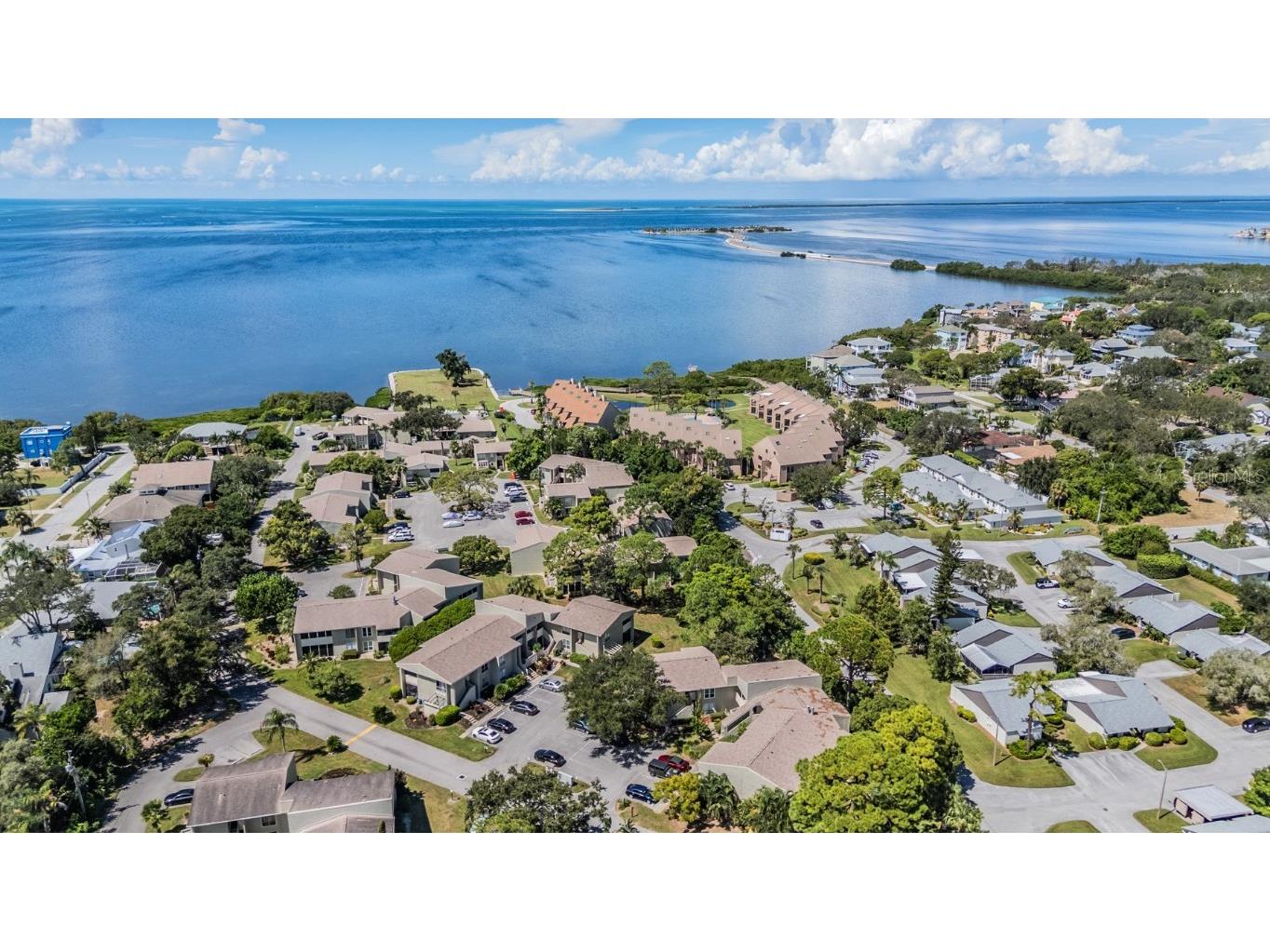 501 Windrush Bay Drive #114 Tarpon Springs FL 34689 TB8441082 image31