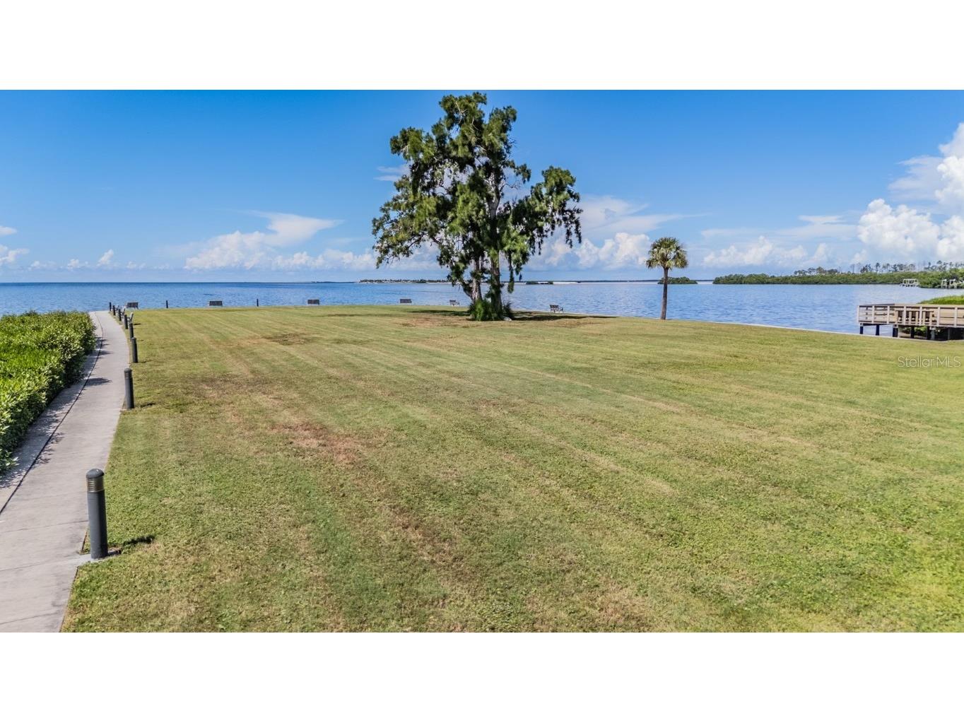 501 Windrush Bay Drive #114 Tarpon Springs FL 34689 TB8441082 image41