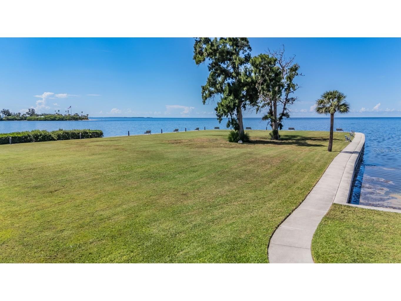 501 Windrush Bay Drive #114 Tarpon Springs FL 34689 TB8441082 image42