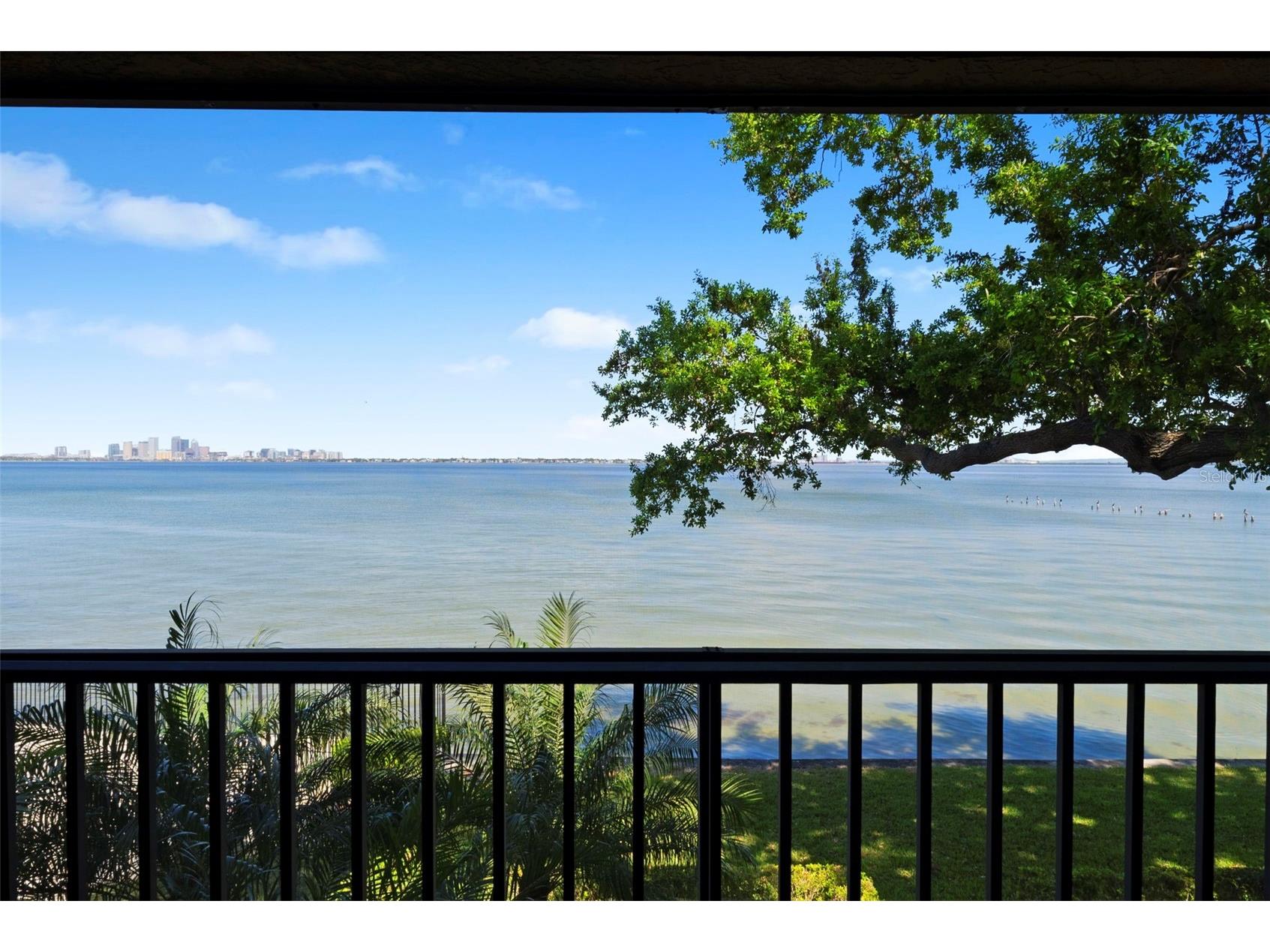 5010 Bayshore Boulevard #4 Tampa FL 33611 - HILLSBOROUGH BAY TB8486333 image26