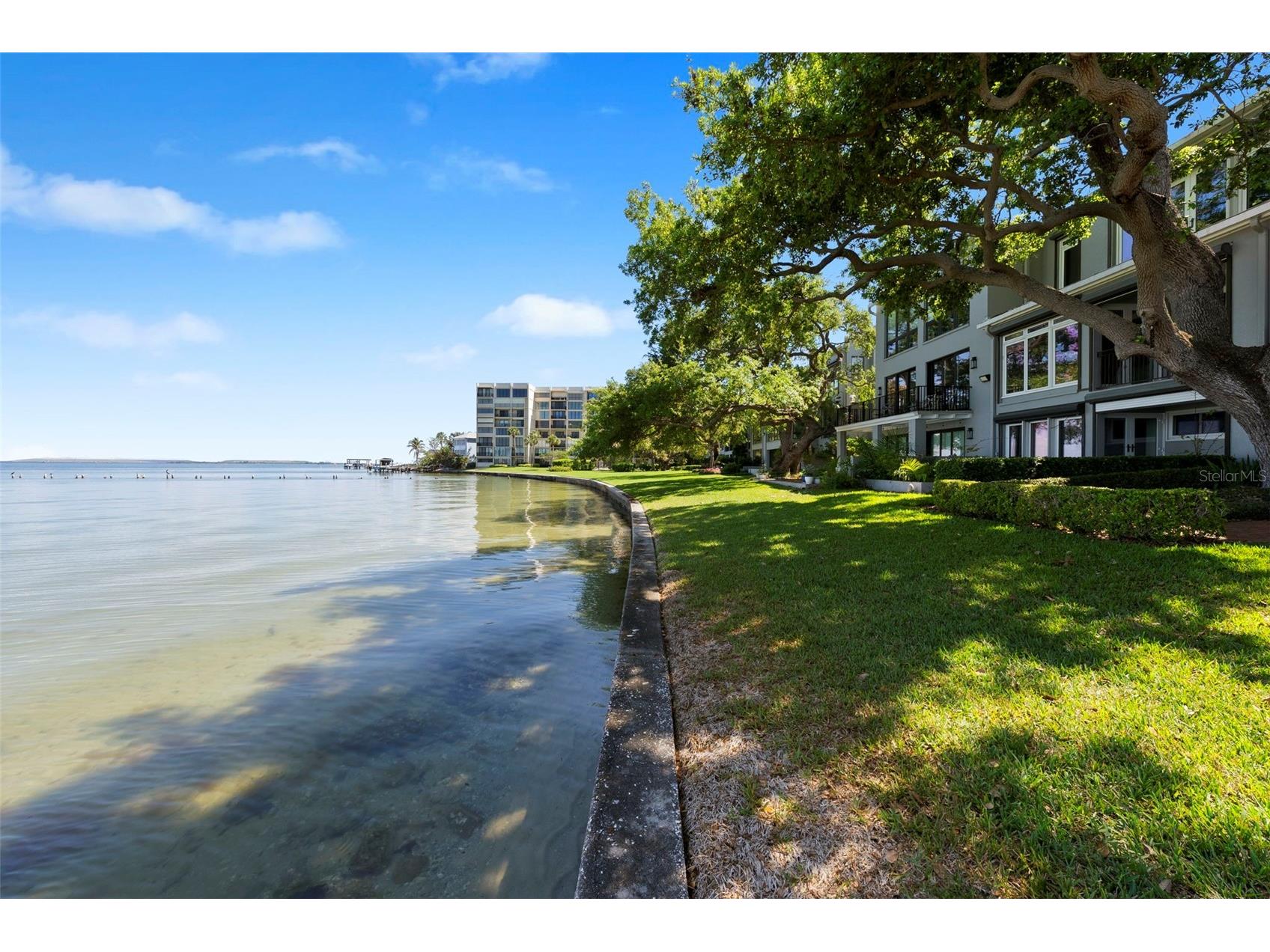 5010 Bayshore Boulevard #4 Tampa FL 33611 - HILLSBOROUGH BAY TB8486333 image68