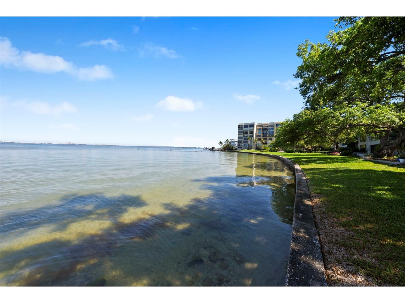 5010 Bayshore Boulevard #4 Tampa FL 33611 - HILLSBOROUGH BAY TB8486333 image73