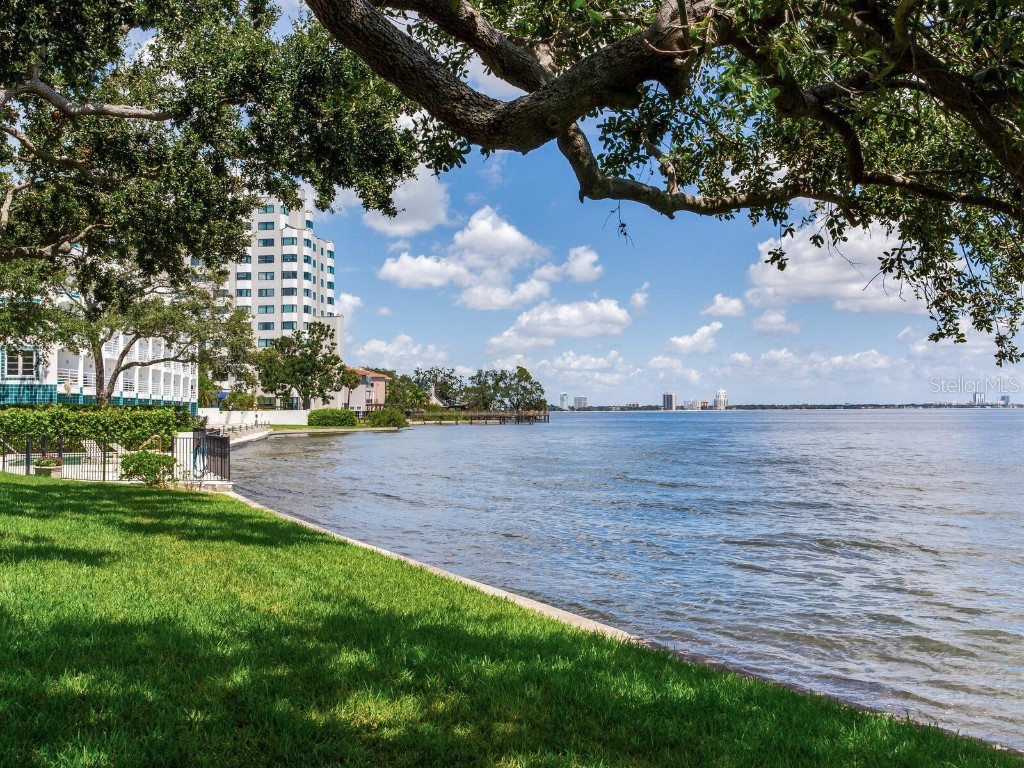 5010 Bayshore Boulevard #7 Tampa FL 33611 TB8418456 image38