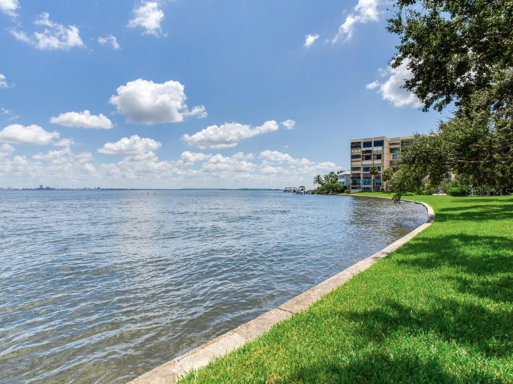 5010 Bayshore Boulevard #7 Tampa FL 33611 TB8418456 image39
