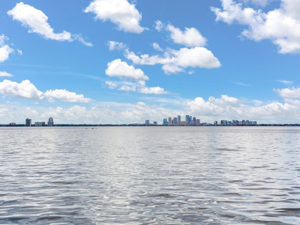 5010 Bayshore Boulevard #7 Tampa FL 33611 TB8418456 image40