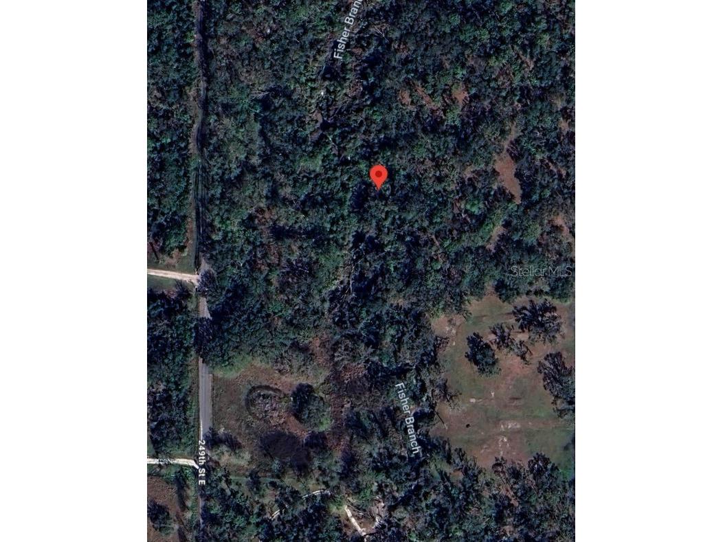 5011 249th St Street E Myakka City FL 34251 A4667027 image2