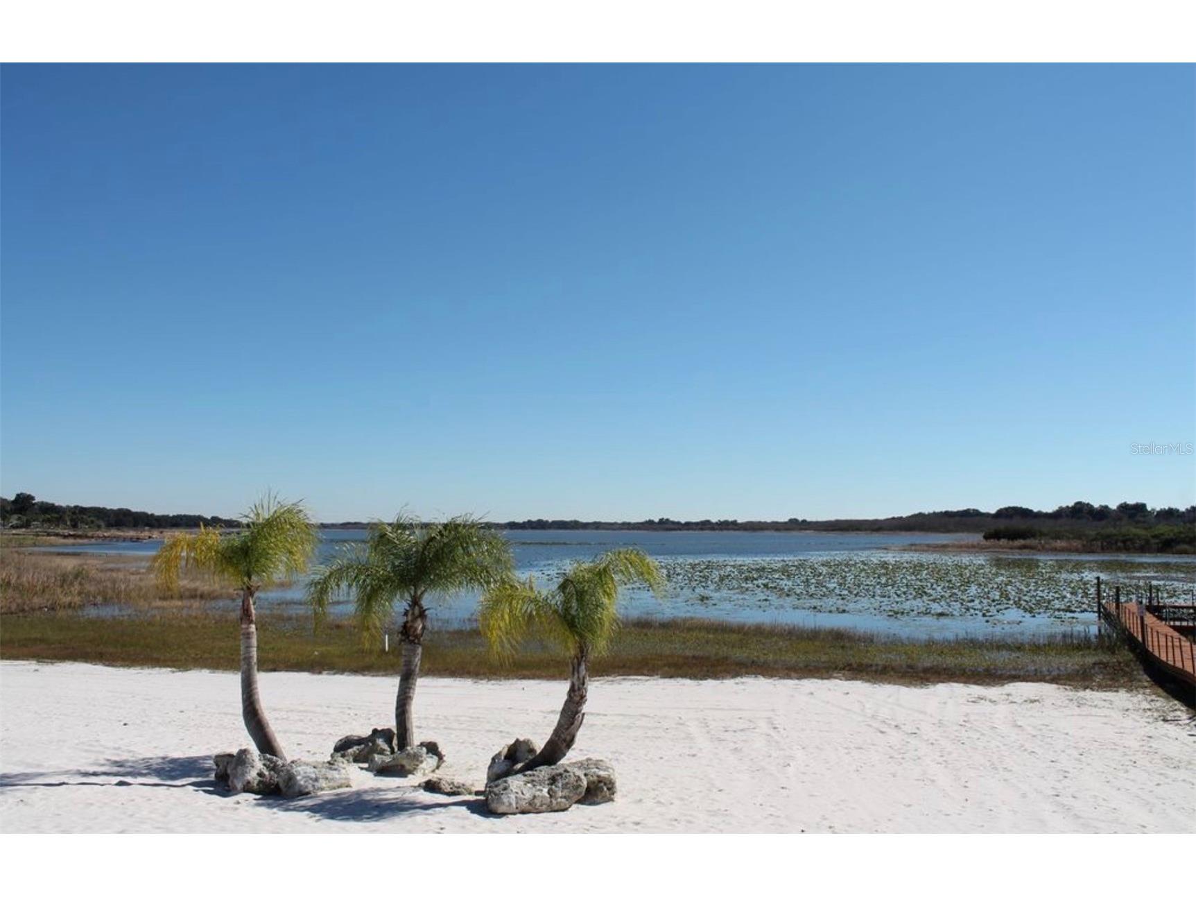 5011 Belted Kingfisher Drive Oxford FL 34484 - LAKE MIONA G5114626 image65