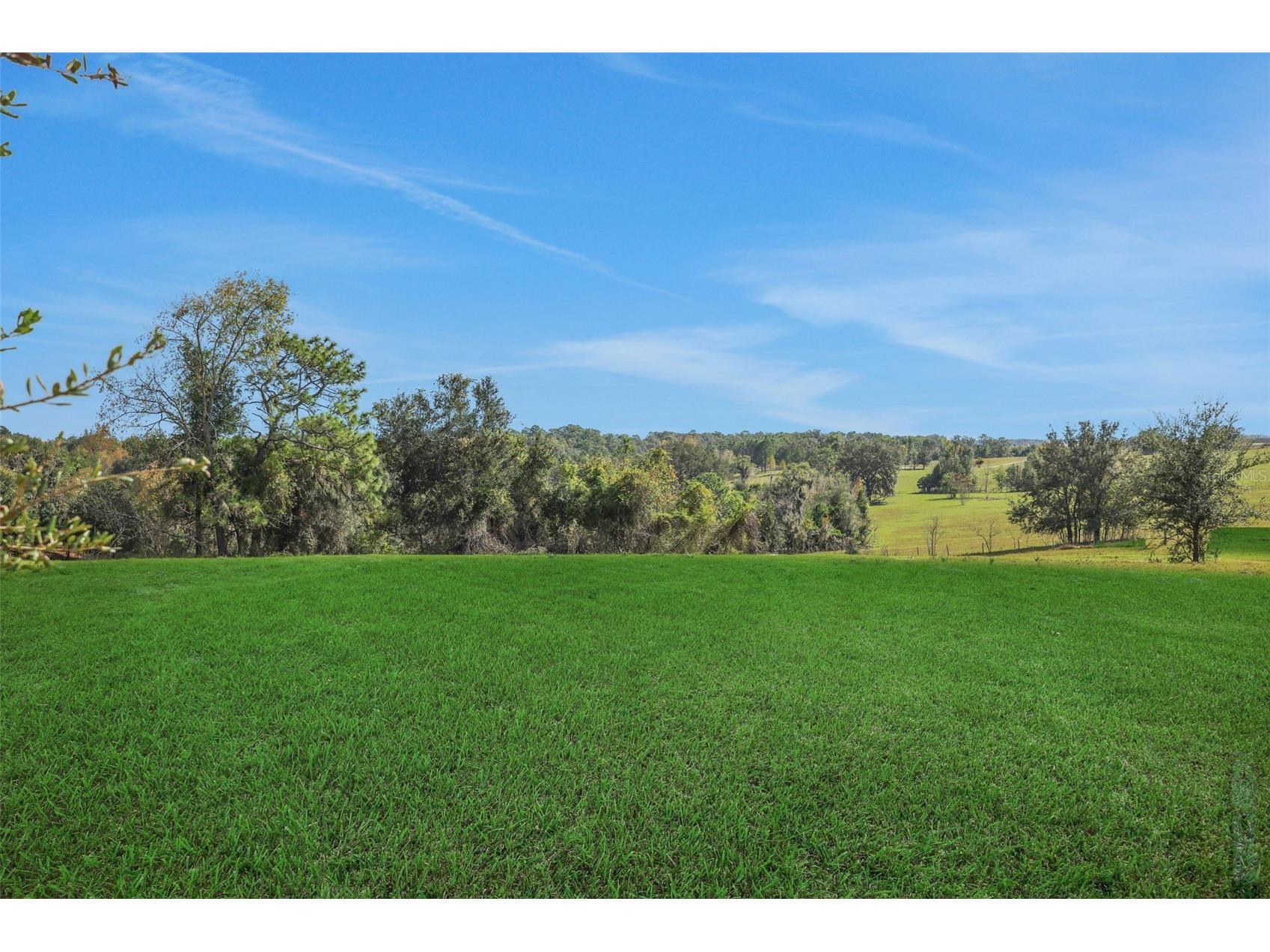 5011 Firebush Drive Apopka FL 32712 G5108314 image8