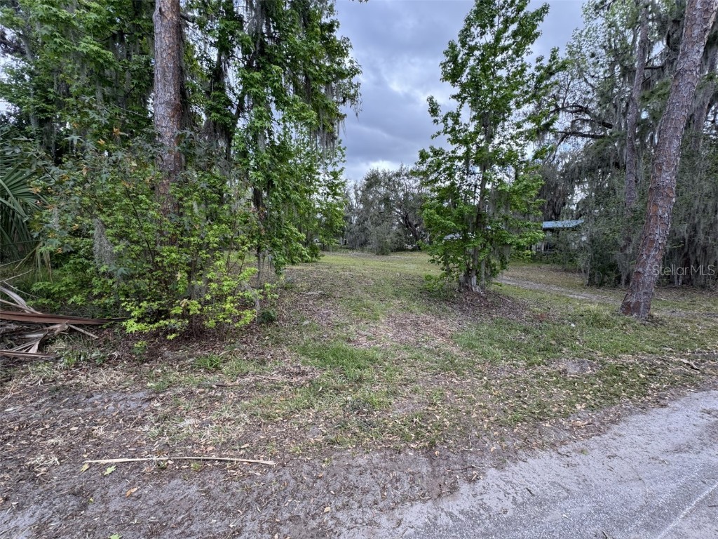 5011 Pineapple Street Lake Wales FL 33898 - LAKE WALK IN WATER P4933796 image1