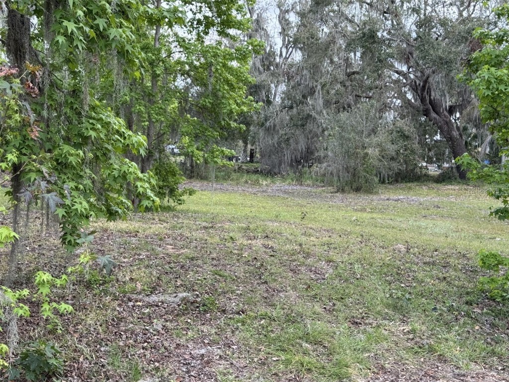 5011 Pineapple Street Lake Wales FL 33898 - LAKE WALK IN WATER P4933796 image11