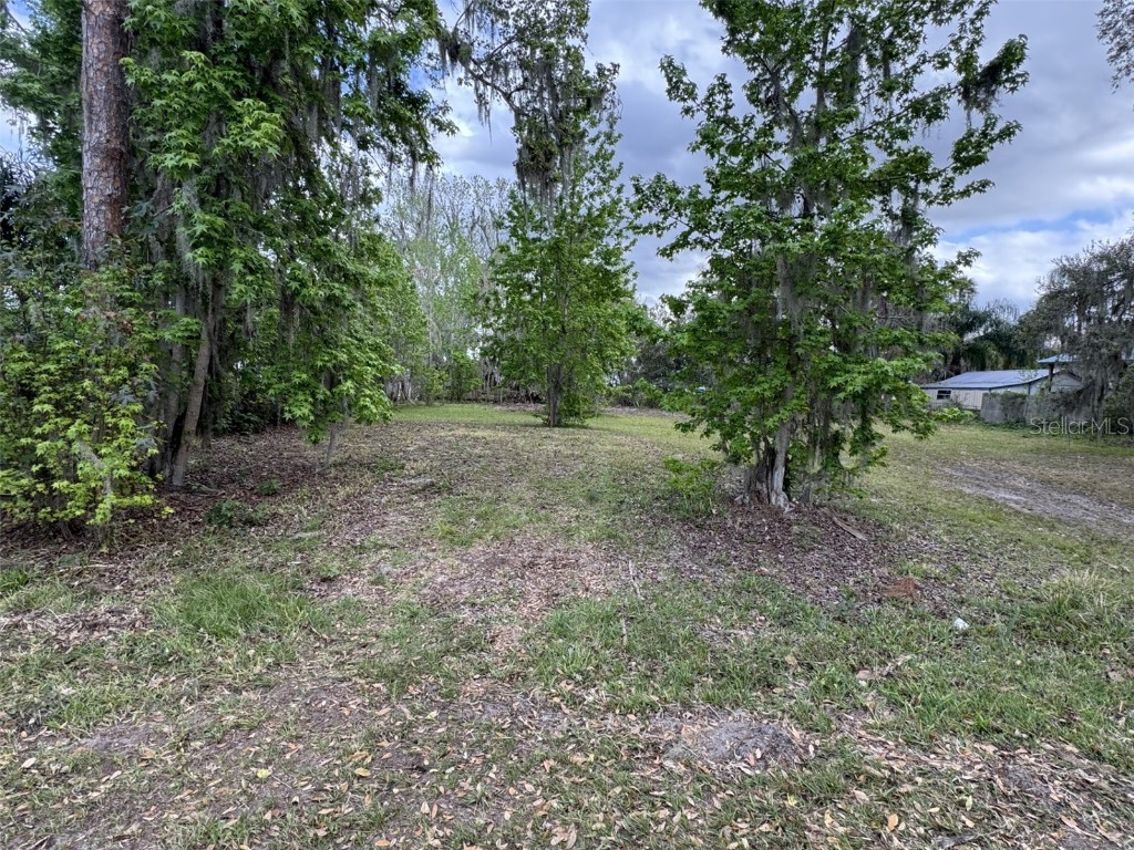 5011 Pineapple Street Lake Wales FL 33898 - LAKE WALK IN WATER P4933796 image12