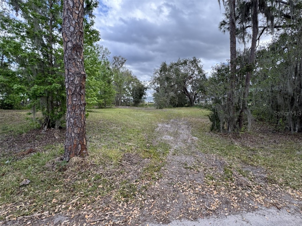 5011 Pineapple Street Lake Wales FL 33898 - LAKE WALK IN WATER P4933796 image13